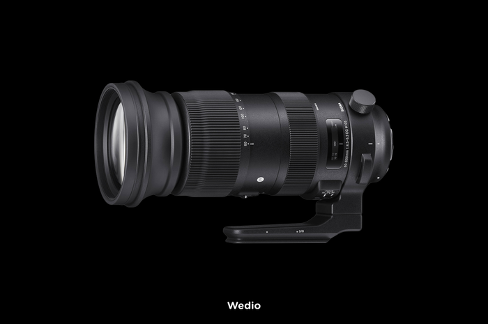 Sigma AF 60-600 f/4.5-6.3 DG OS HSM, Nikon